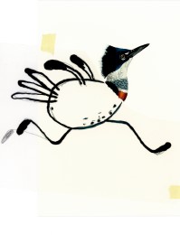 Komische Vögel - Abbildung 3