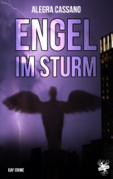 Engel im Sturm - Cover