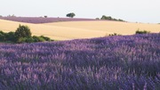Provence - Abbildung 1