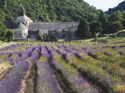 Provence - Abbildung 5