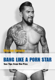 Bang Like a Porn Star - Cover