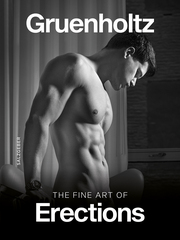 The Fine Art of Erections - Cover