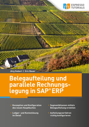 Belegaufteilung und parallele Rechnungslegung in SAP ERP