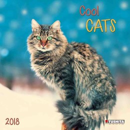 Cool Cats 2018
