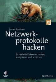 Netzwerkprotokolle hacken - Cover