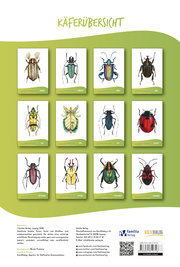 Käferkalender 2019 - Abbildung 4