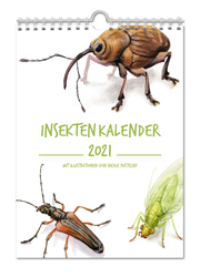 Insektenkalender 2021