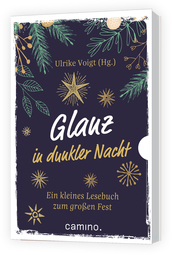 Glanz in dunkler Nacht - Cover
