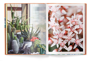 Floramour: Sukkulenten/Succulents - Abbildung 3