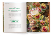 Floramour: Sukkulenten/Succulents - Abbildung 4