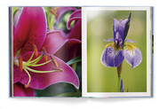 Floramour: Lilien/Lilies - Abbildung 2