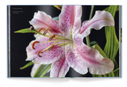 Floramour: Lilien/Lilies - Abbildung 3