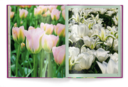 Floramour: Tulpen/Tulips - Illustrationen 5