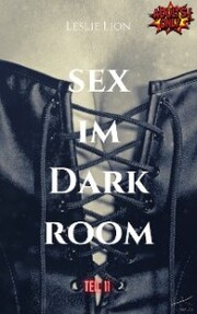 Sex im Darkroom - Teil 11 von Leslie Lion - Cover
