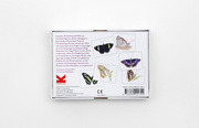 Schmetterlinge und ihre Flügel - Abbildung 1