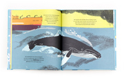 Die Seeschwalbe und der Buckelwal - Abbildung 2