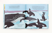 Die Seeschwalbe und der Buckelwal - Abbildung 3