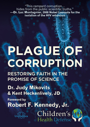 Plague of Corruption - Cover