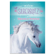 Silberblitz - Geheimnis im Mondschein - Cover
