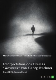 Interpretation des Dramas 'Woyzeck' von Georg Büchner. Verschiedene Ansätze - Cover