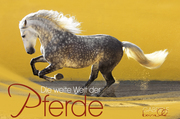 Die weite Welt der Pferde 2019 - Cover