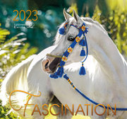 Fascination 2023 - Cover