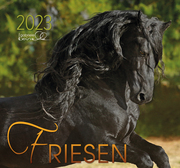 Friese 2023 - Cover