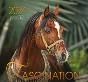Fascination 2024 - Cover