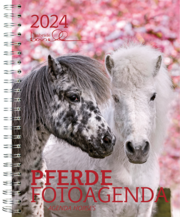Agenda Pferde 2024