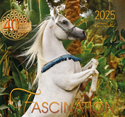 Fascination 2025 - Cover