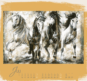 Barocke Pferde 2025 - Illustrationen 3