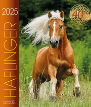 Haflinger 2025 - Cover