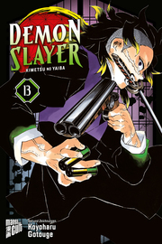 Demon Slayer 13 - Cover
