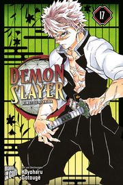 Demon Slayer 17 - Cover