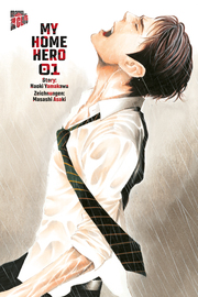 My Home Hero 1 - Cover