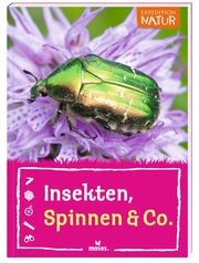 Insekten, Spinnen & Co. - Cover
