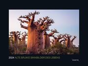 Alte Bäume - Sinnbilder des Lebens 2024 - Cover