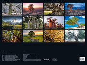 Alte Bäume - Sinnbilder des Lebens 2024 - Abbildung 1