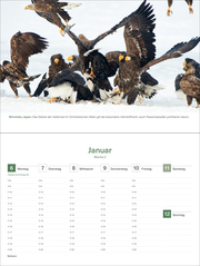 Das Naturerbe der Welt - KUNTH Tischkalender 2025 - Abbildung 1