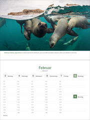 Das Naturerbe der Welt - KUNTH Tischkalender 2025 - Abbildung 3