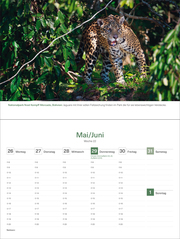 Das Naturerbe der Welt - KUNTH Tischkalender 2025 - Abbildung 8