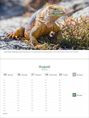 Das Naturerbe der Welt - KUNTH Tischkalender 2025 - Abbildung 11