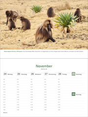 Das Naturerbe der Welt - KUNTH Tischkalender 2025 - Abbildung 15