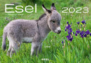 Esel 2023 - Cover