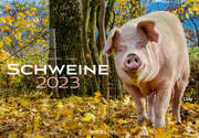 Schweine 2023