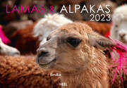 Lamas und Alpakas 2023