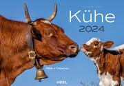 Kühe 2024 - Cover