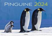 Pinguine Kalender 2024 - Cover