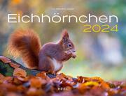 Eichhörnchen 2024