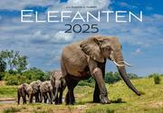 Elefanten Kalender 2025